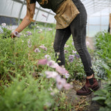 Blundstone 1440 - WOMEN'S CLASSICS REDWOOD
